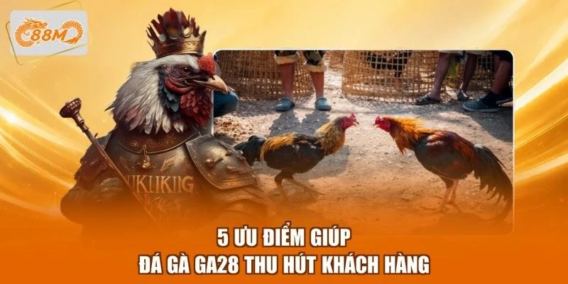 5 ưu điểm giúp đá gà GA28 thu hút khách hàng