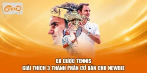 Cá Cược Tennis - Giải Thích 3 Thành Phần Cơ Bản Cho Newbie