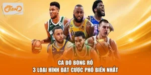 Cá Độ Bóng Rổ - 3 Loại Hình Đặt Cược Phổ Biến Nhất