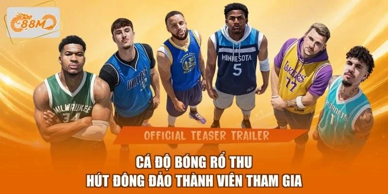 Cá độ bóng rổ thu hút đông đảo thành viên tham gia