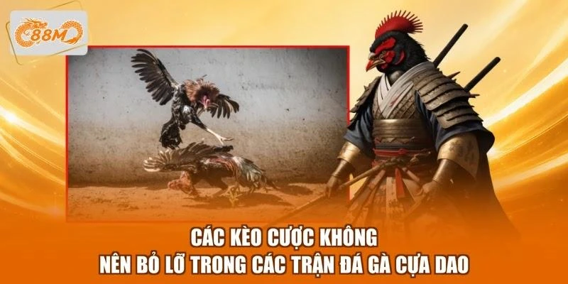 cac-keo-cuoc-khong-nen-bo-lo-trong-cac-tran-da-ga-cua-dao Các kèo cược không nên bỏ lỡ trong các trận đá gà cựa dao