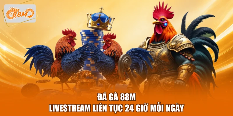 Đá gà 88M livestream liên tục 24 giờ mỗi ngày