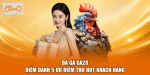 Đá Gà GA28 - Điểm Danh 5 Ưu Điểm Thu Hút Khách Hàng