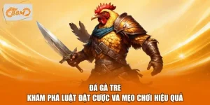Đá Gà Tre - Khám Phá Luật Đặt Cược Và Mẹo Chơi Hiệu Quả