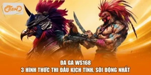 Đá Gà WS168 - 3 Hình Thức Thi Đấu Kịch Tính, Sôi Động Nhất