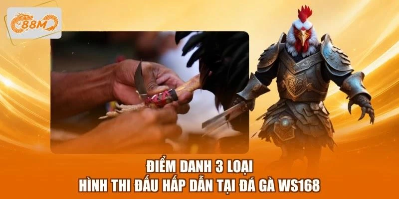 Điểm danh 3 loại hình thi đấu hấp dẫn tại đá gà WS168