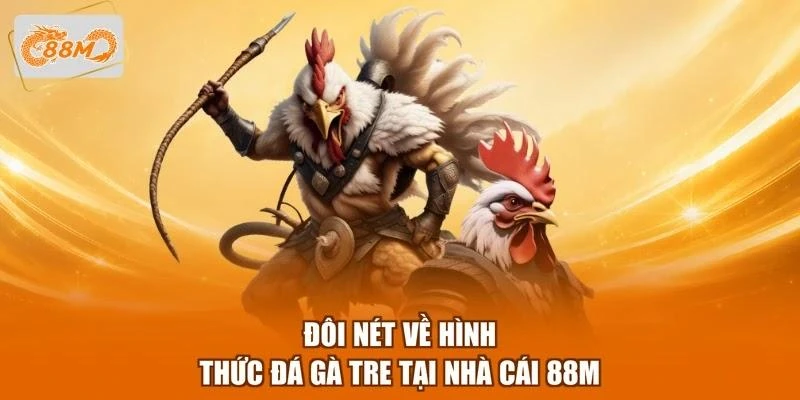 Đôi nét về hình thức đá gà tre tại nhà cái 88M