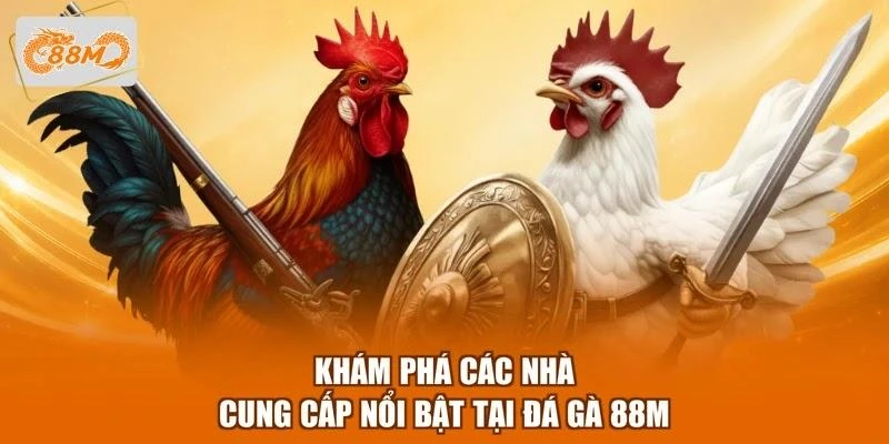 Khám phá các nhà cung cấp nổi bật tại đá gà 88M