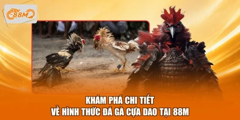 kham-pha-chi-tiet-ve-hinh-thuc-da-ga-cua-dao-tai-88m Khám phá chi tiết về hình thức đá gà cựa dao tại 88M