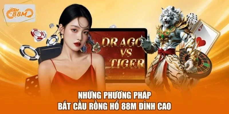Những phương pháp bắt cầu Rồng Hổ 88M đỉnh cao