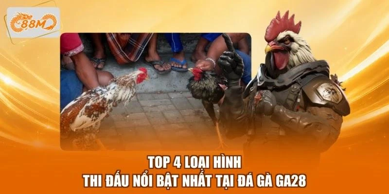 Top 4 loại hình thi đấu nổi bật nhất tại đá gà GA28