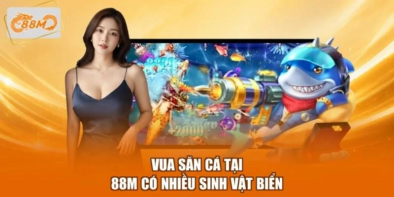 Vua săn cá tại 88M có nhiều sinh vật biển